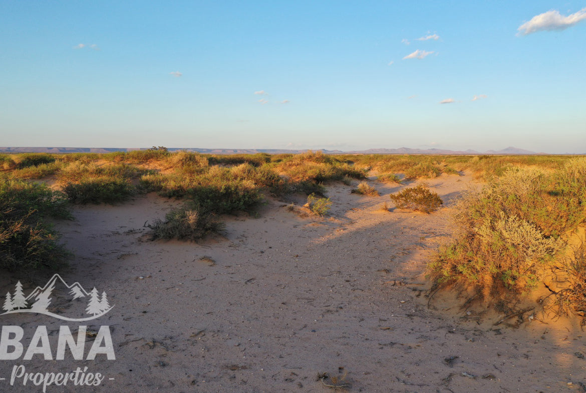 21 Acre Acala Road Cabin Site