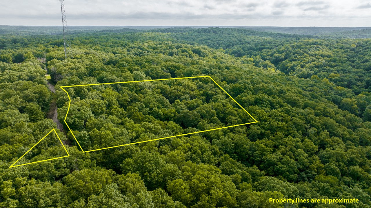 Lakeview Retreat: 3.52 Acres of Scenic Beauty