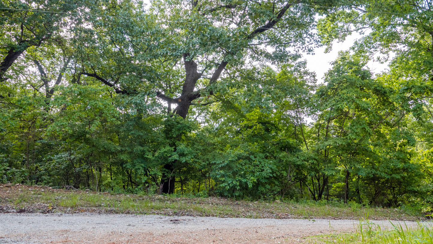 Lakeview Retreat: 3.52 Acres of Scenic Beauty