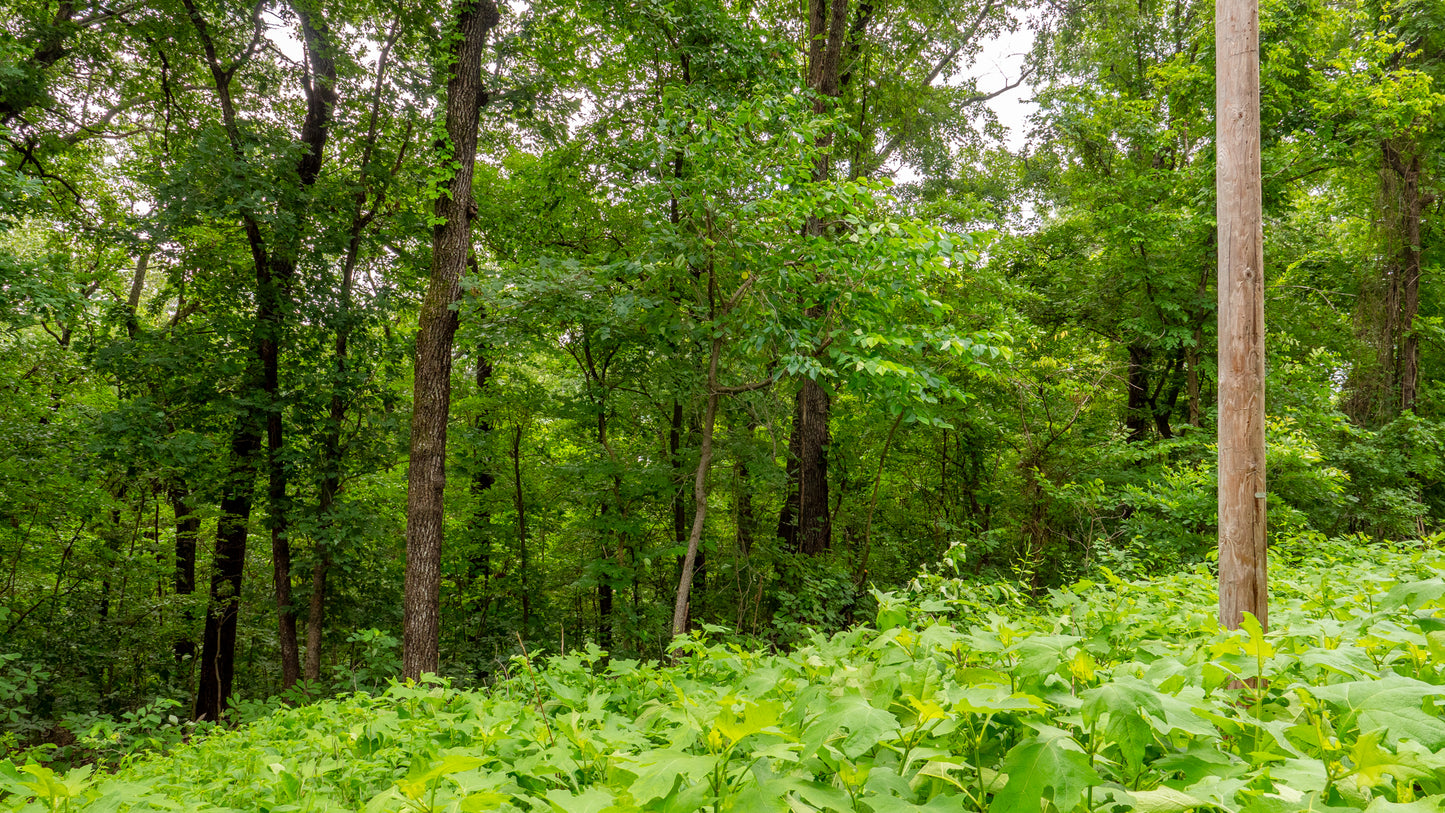 Prime 0.23 Acres in Ivy Bend – Ideal for Your Future Home