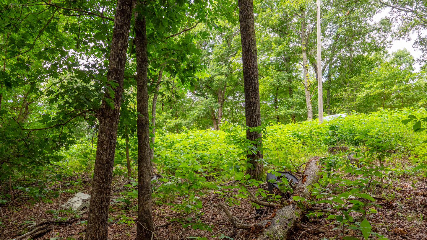 Prime 0.23 Acres in Ivy Bend – Ideal for Your Future Home