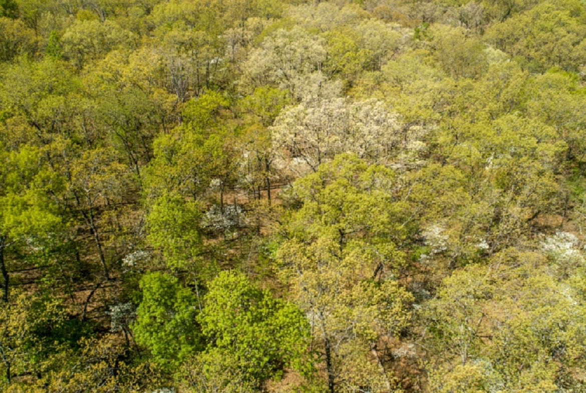 14 +/- Acres at Lake of the Ozarks