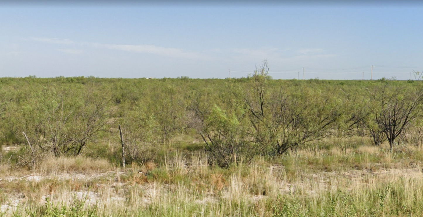 Home on the Range! 10 Acre Texas Retreat in Pecos County