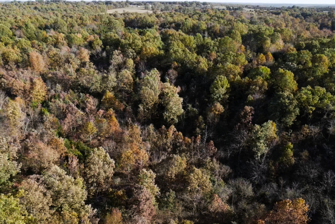 12 Acre Hunting Retreat