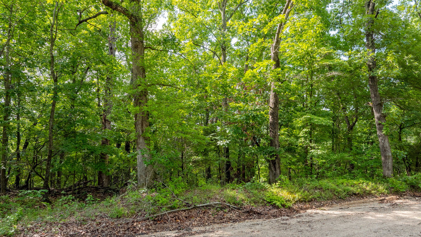 Lakeview Retreat: 3.52 Acres of Scenic Beauty