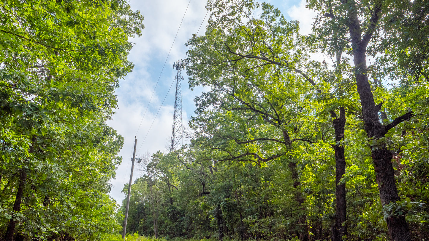 Lakeview Retreat: 3.52 Acres of Scenic Beauty