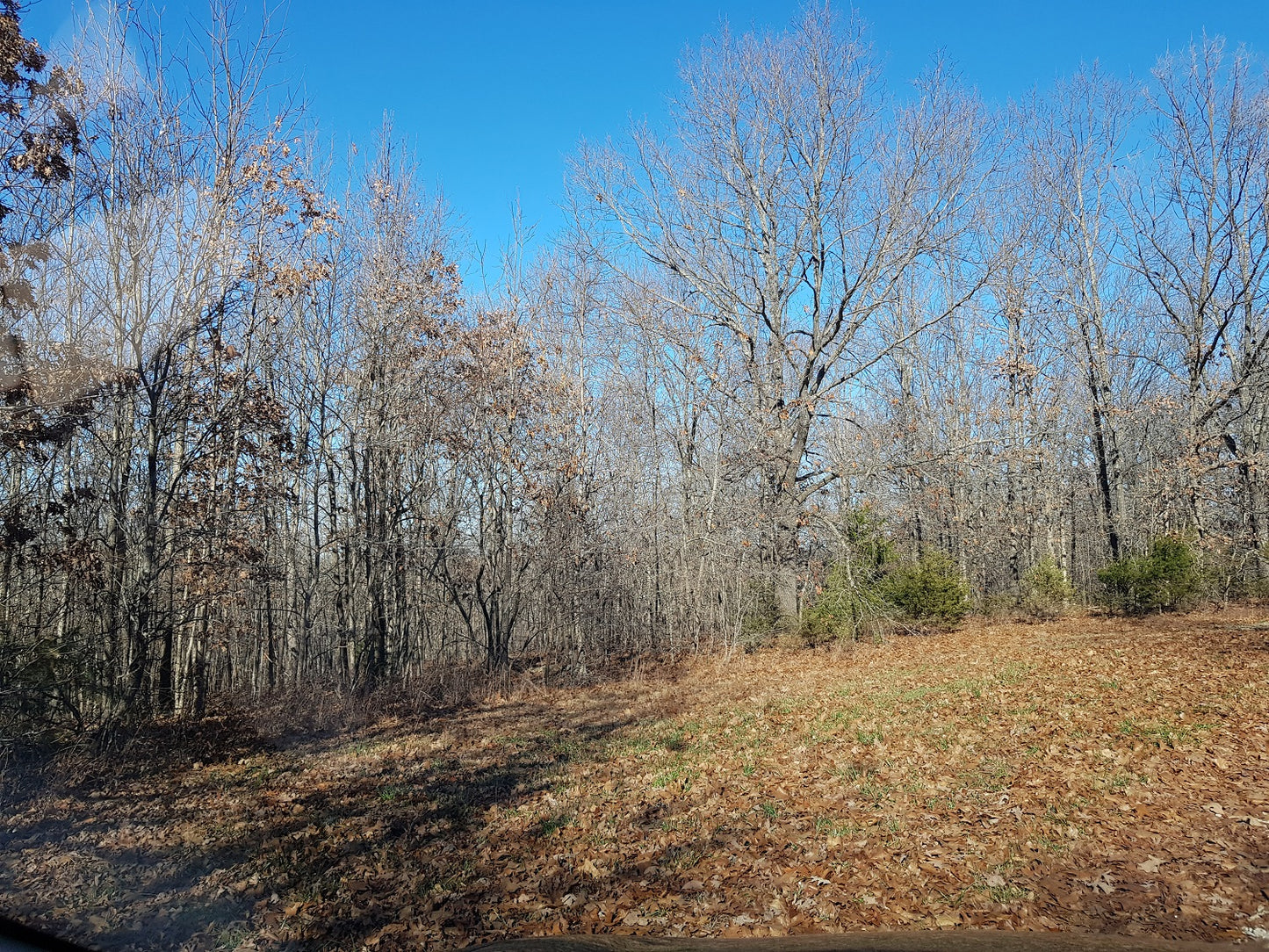 Outdoorsmans paradise! 110 acres near Lebanon MO