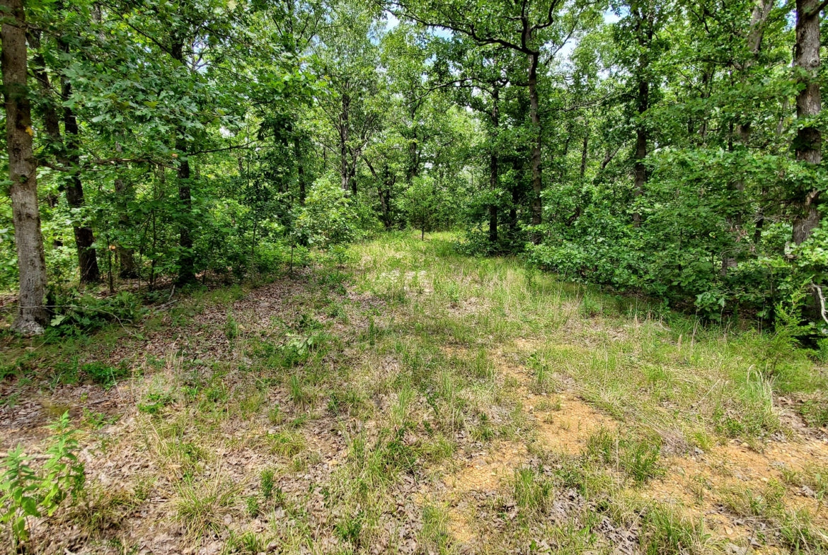 47.4 Acre Ozark Retreat