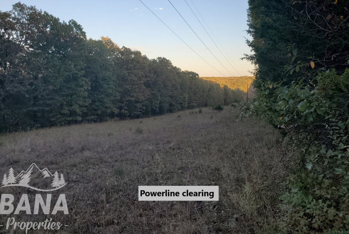 15 Acre Hunt or Build site