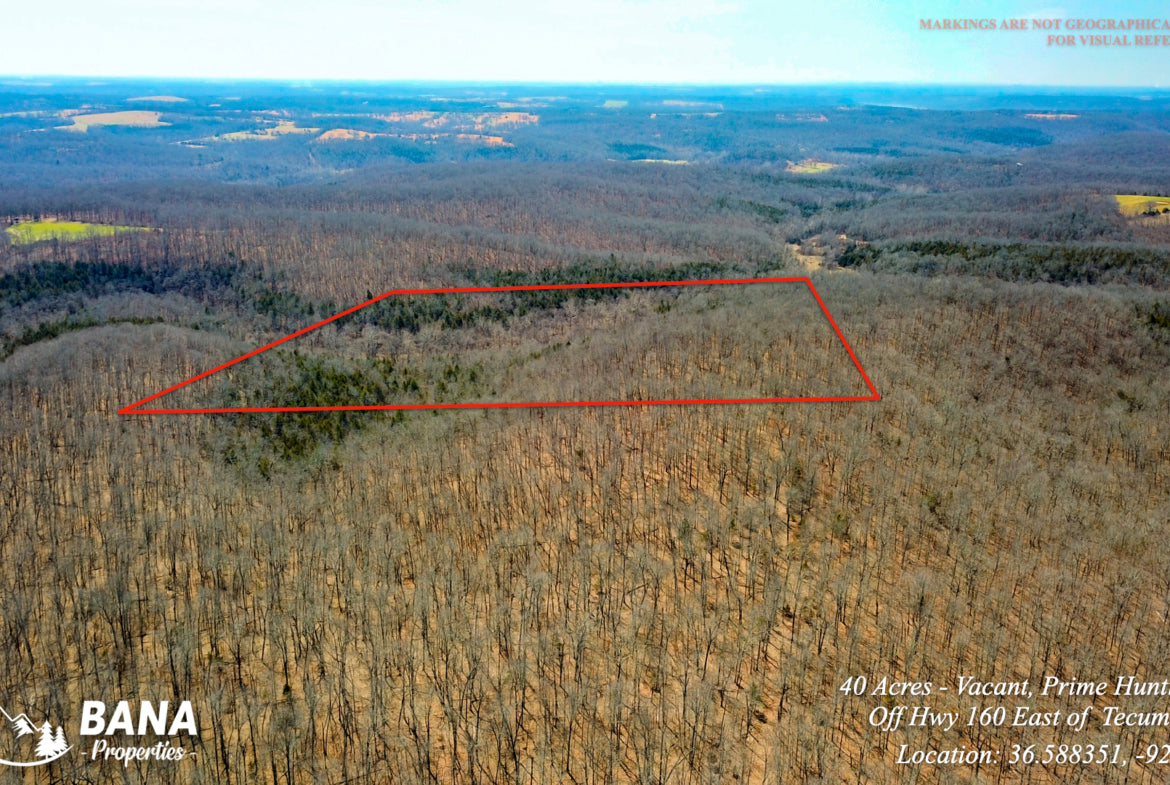 40 Acres of Hardwoods in Ozark County, MO