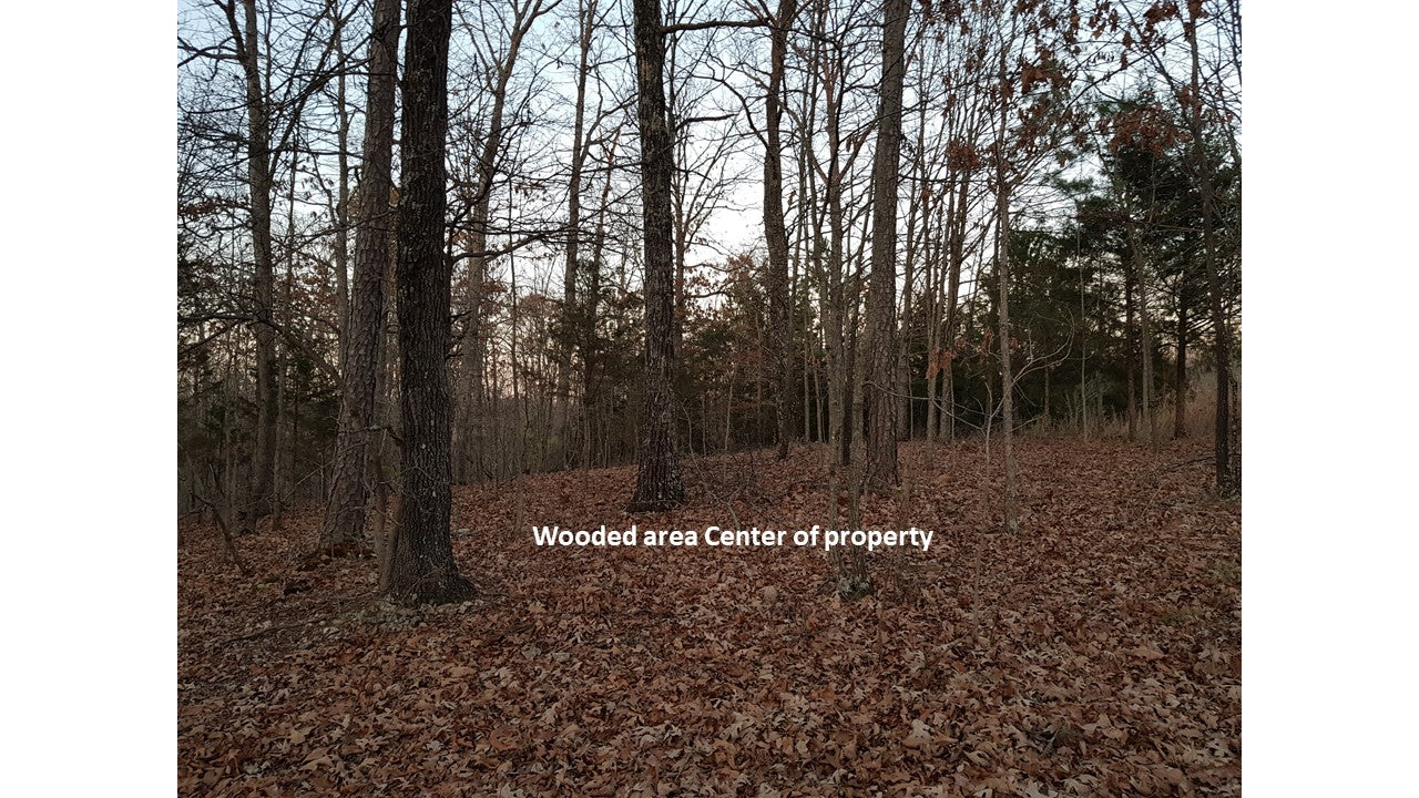 3.01 Acres near Potosi MO