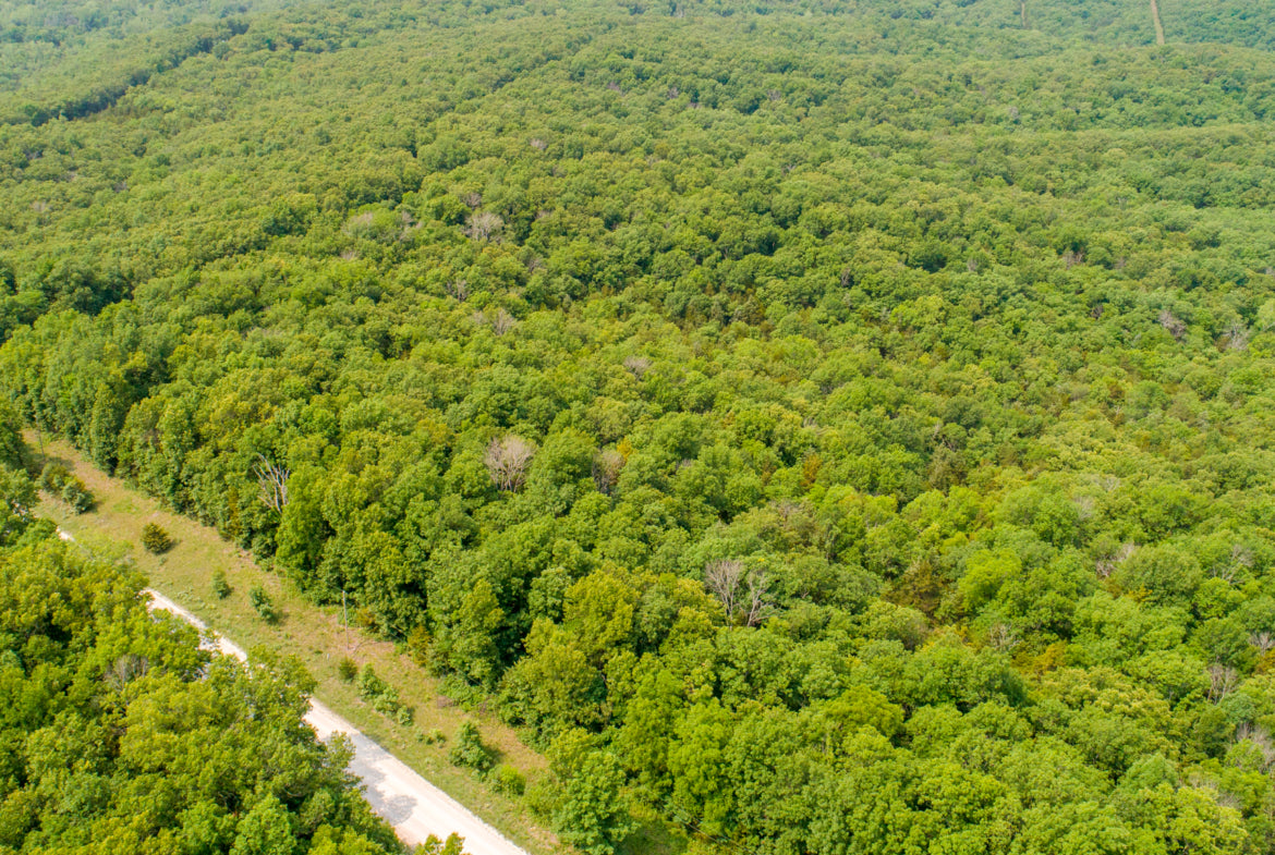 7 Beautiful Acres in Hickory County!