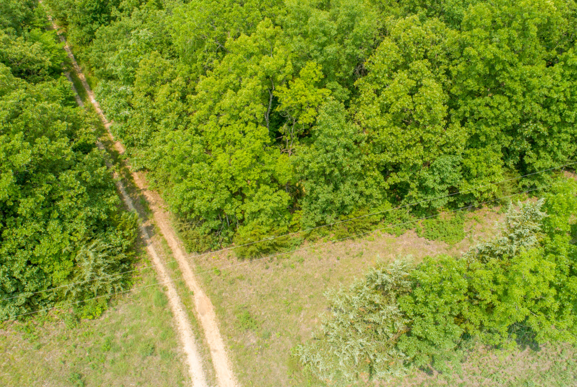 7 Beautiful Acres in Hickory County!
