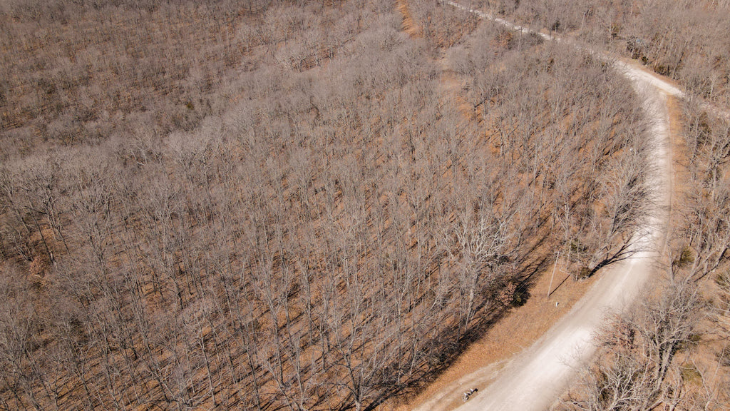 5.6 acres of wooded Ozark hills