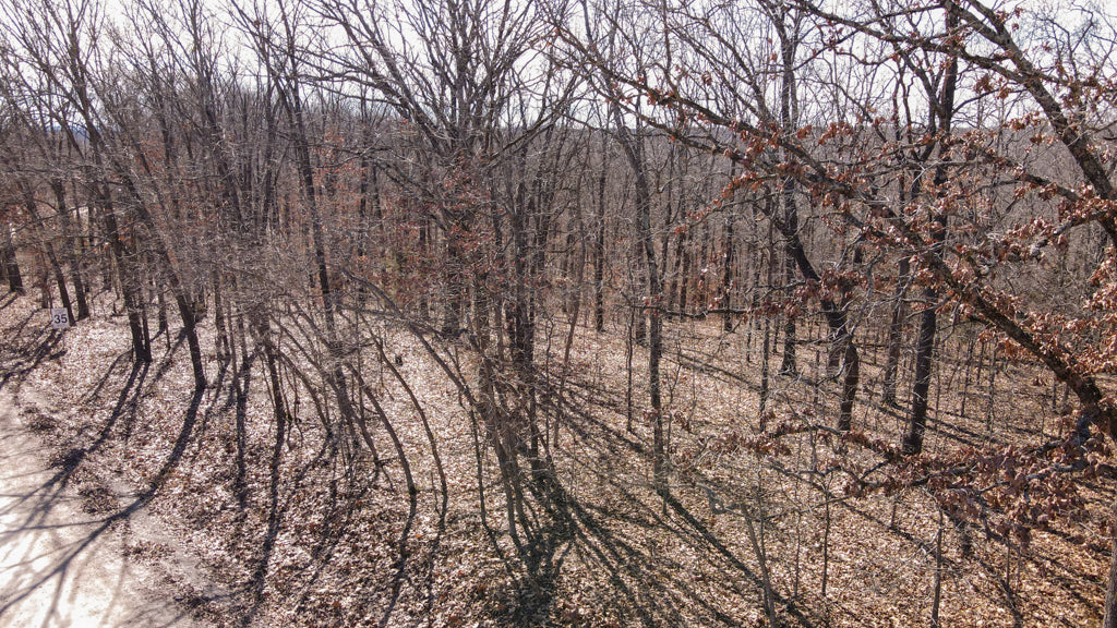 5.6 acres of wooded Ozark hills