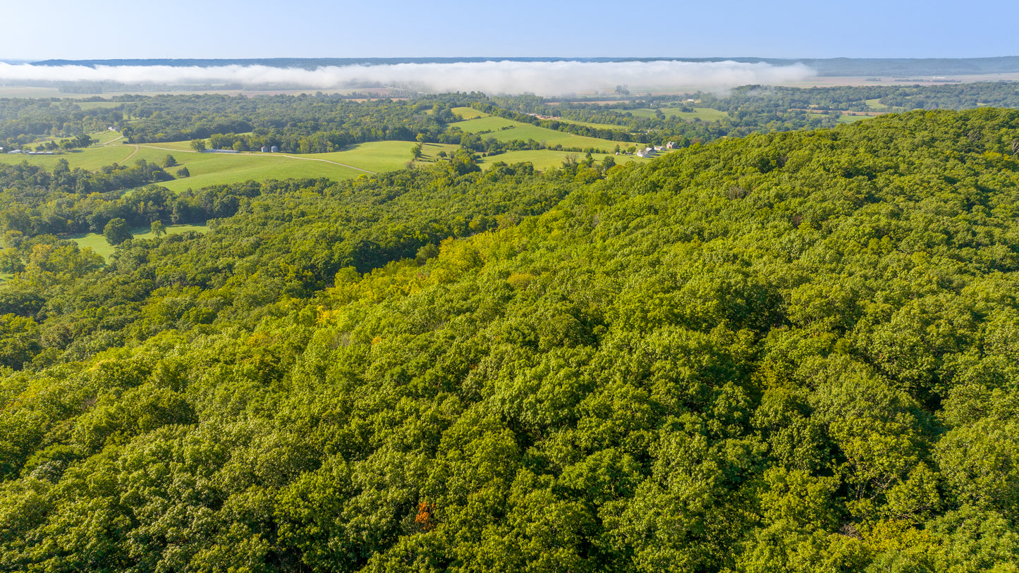 Stunning 20 Acre Recreational Property – Every Hunter’s Dream!