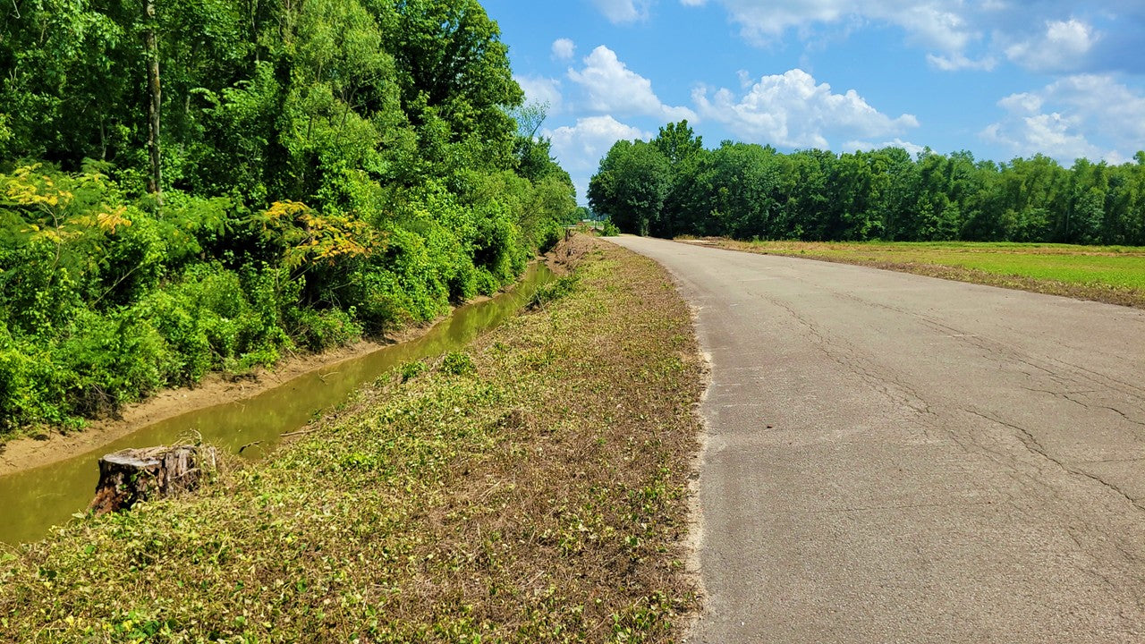 120± Acres in McNairy County, TN