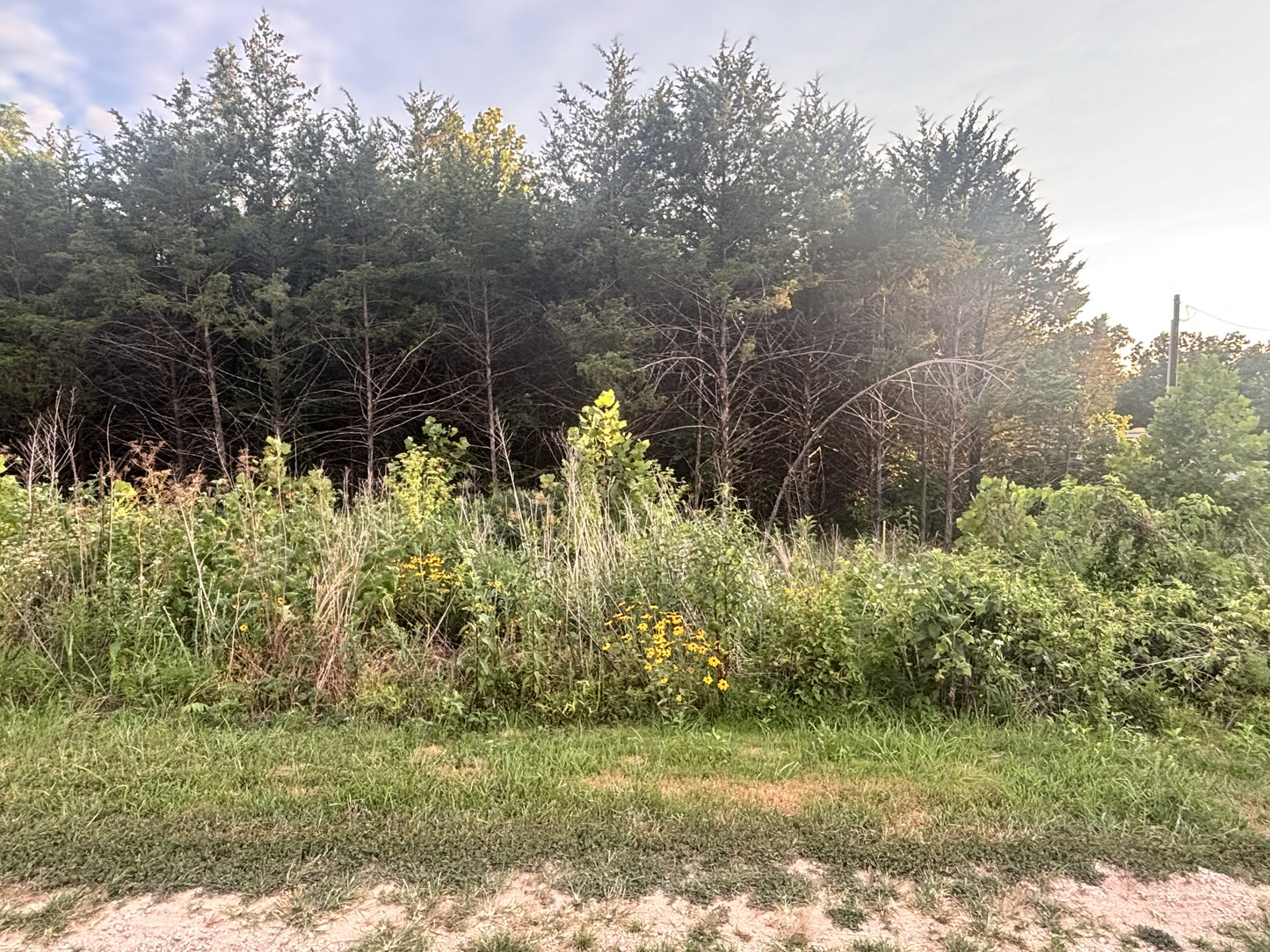Hidden Gem: 3.4 Acres Near Table Rock Lake