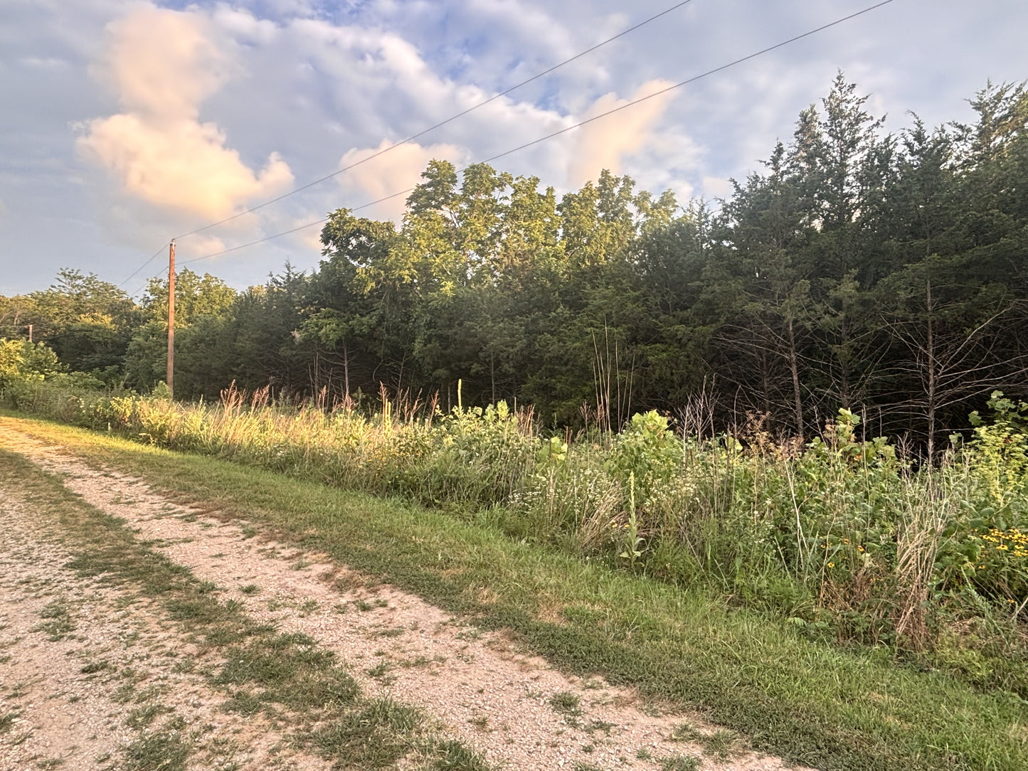 Hidden Gem: 3.4 Acres Near Table Rock Lake