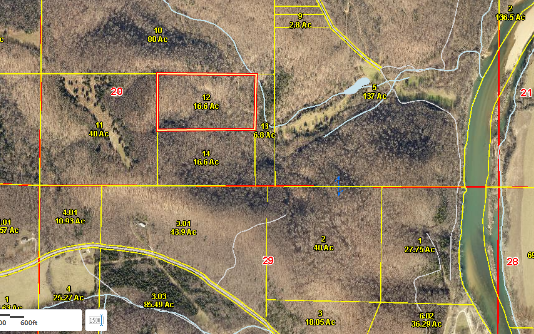16 acres of Ozark woodlands- Powellville MO
