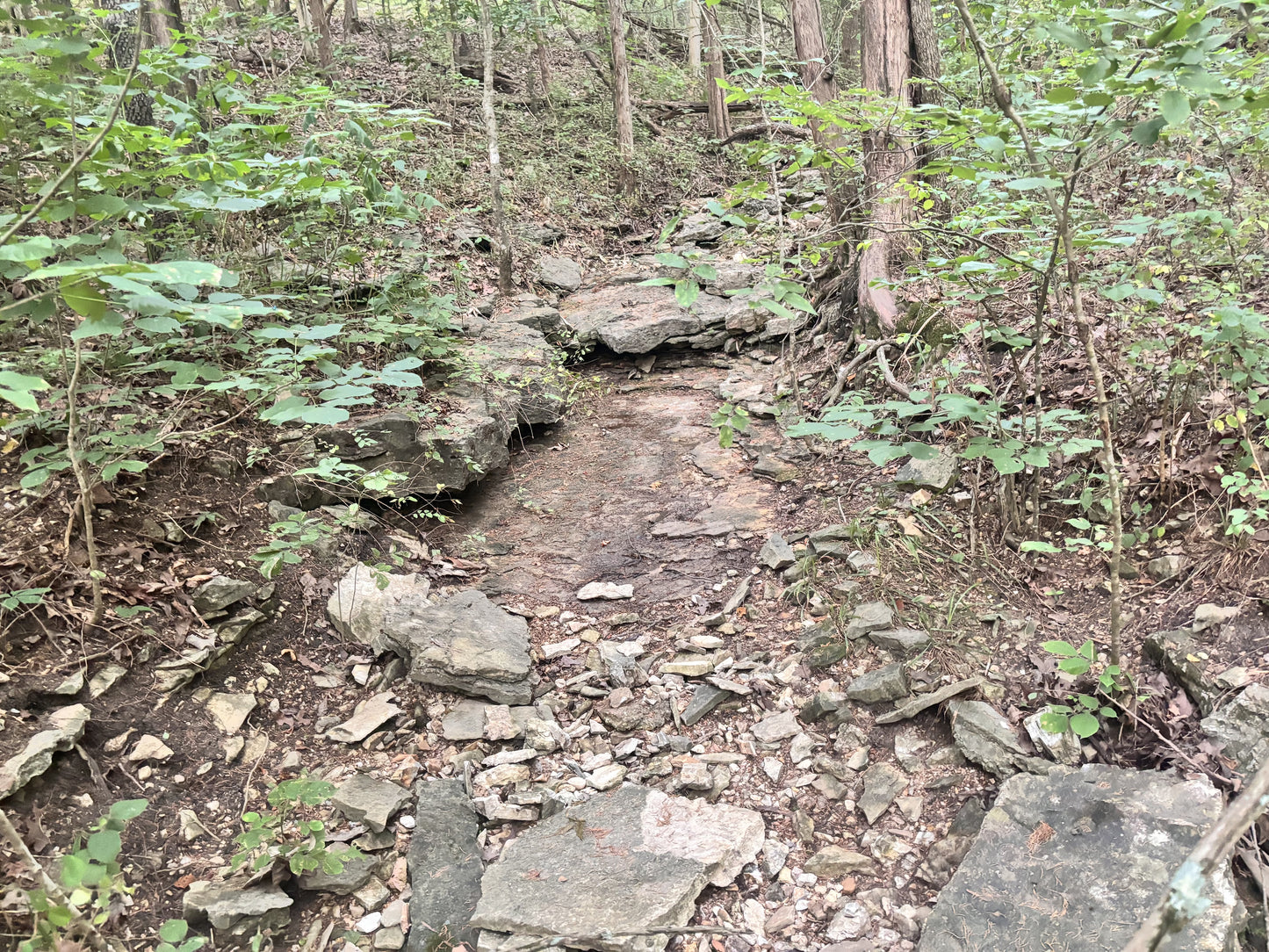 Hidden Gem: 3.4 Acres Near Table Rock Lake