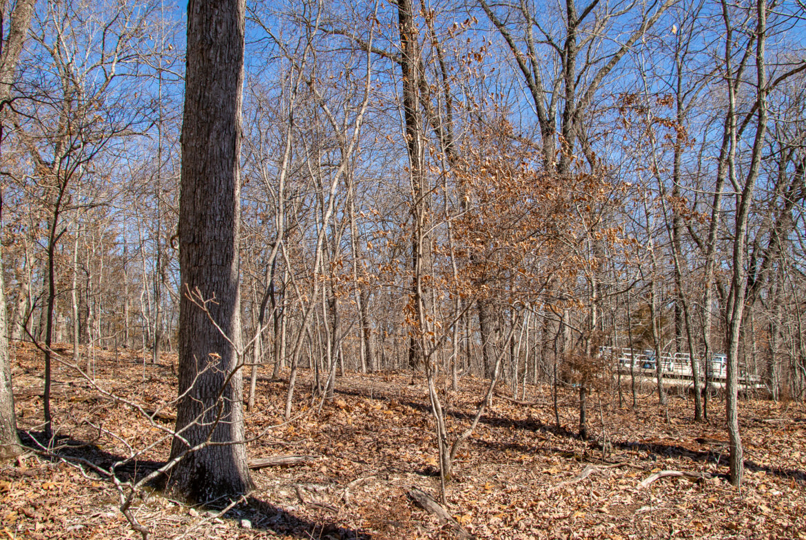 2.10 Acre Retreat- Right by the Lake!