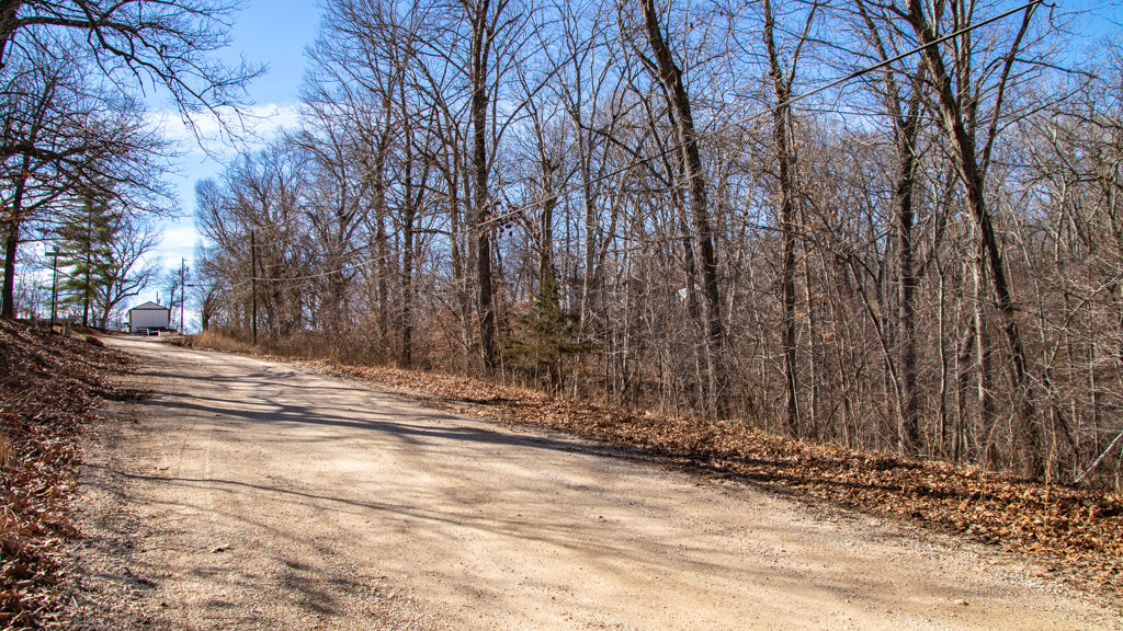 Treed Lot by the lake! 0.8 Acres