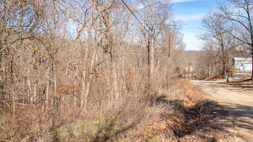 Treed Lot by the lake! 0.8 Acres