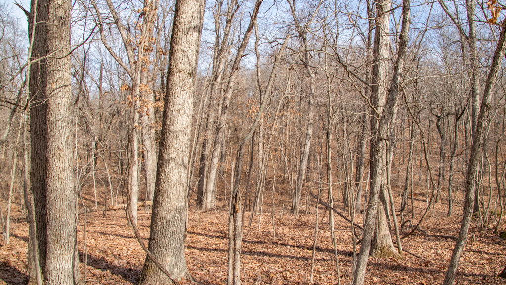 5.63 acres Ozark cabin site minutes from the Lake!