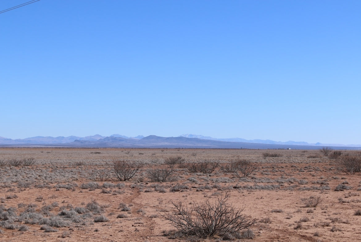 40-acre Parcel in Jeff Davis County