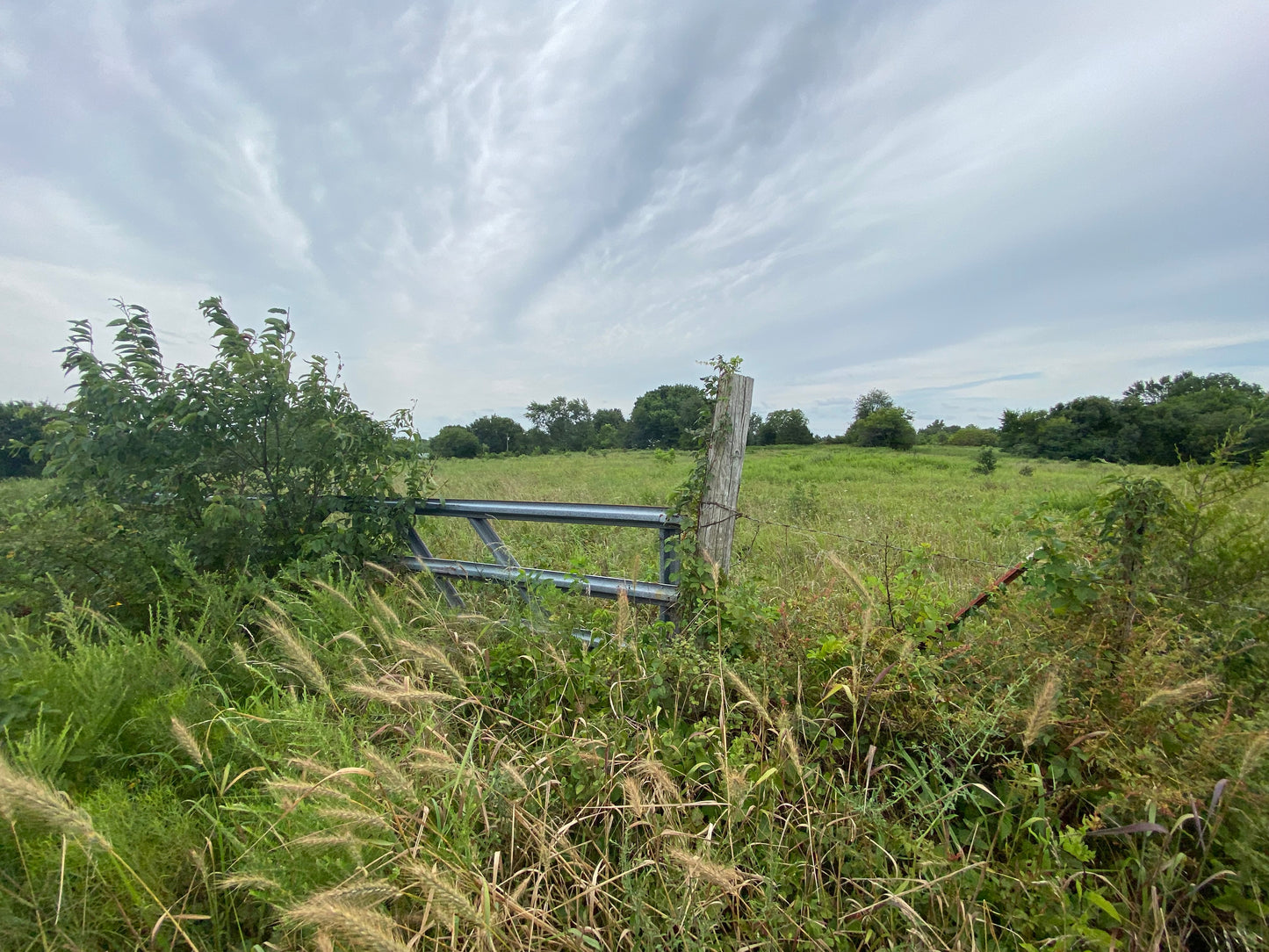 7.6 Acres in Cedar County, MO