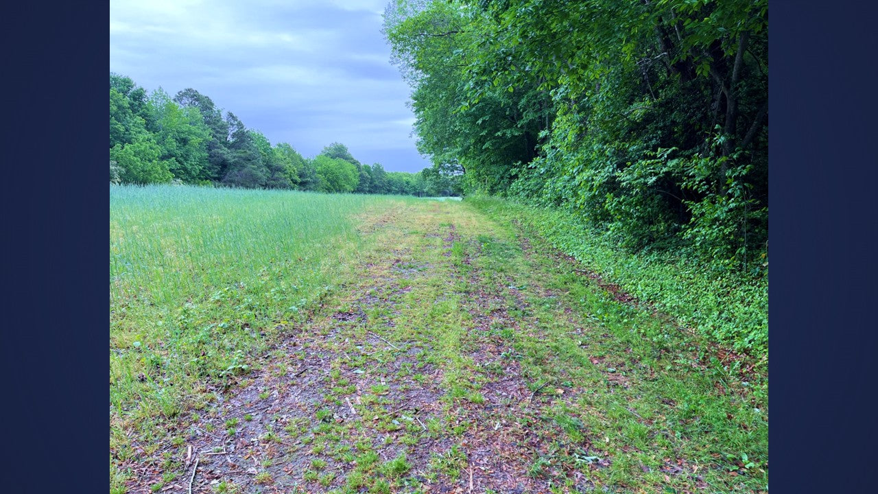 Wooded 5.26+/- acres in Middlesex County VA
