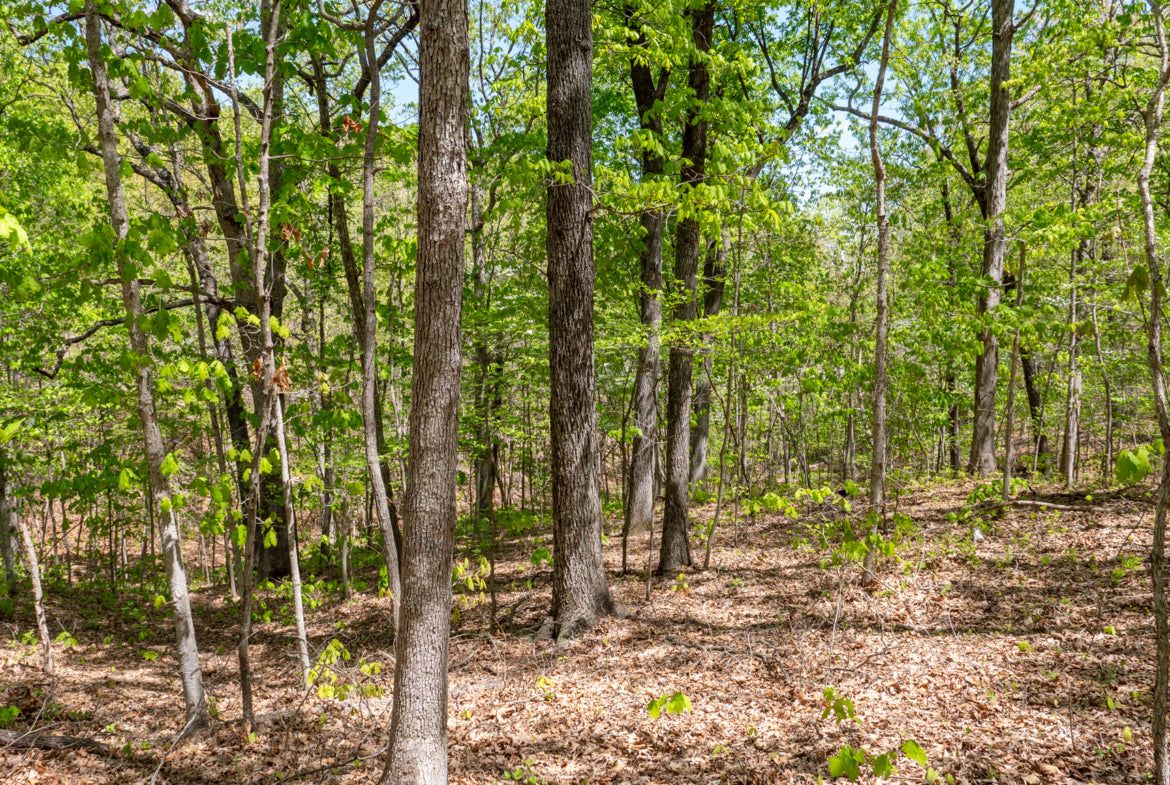 7.3 Acres with Utilities just South of the Lake!