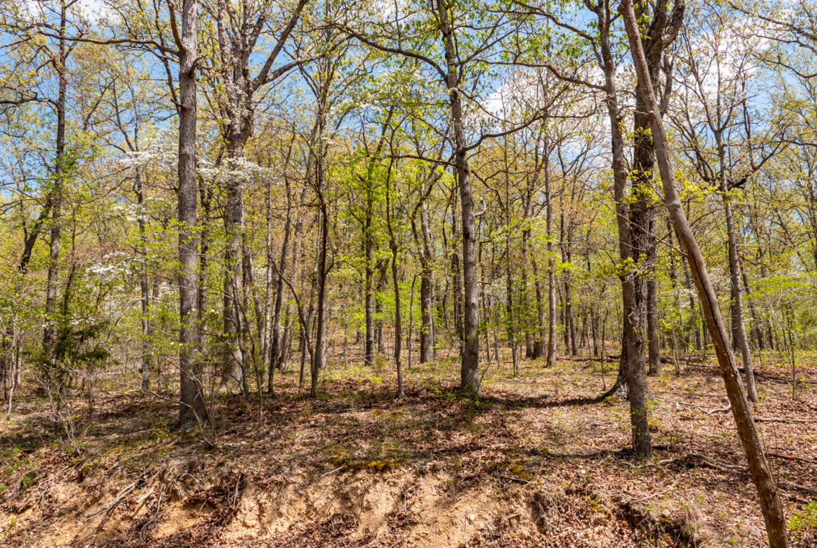 5 Acres of Beautiful Timber and Creeks