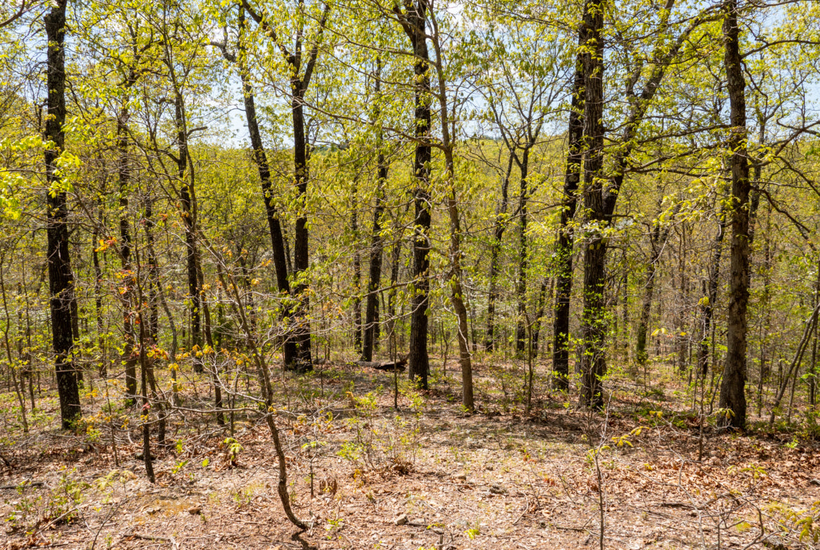5 Acres of Beautiful Timber and Creeks