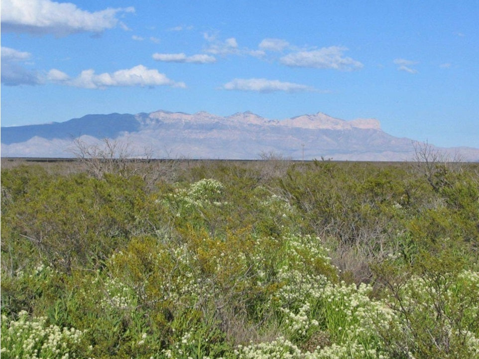 10 Acre Sparks Ranch Campsite