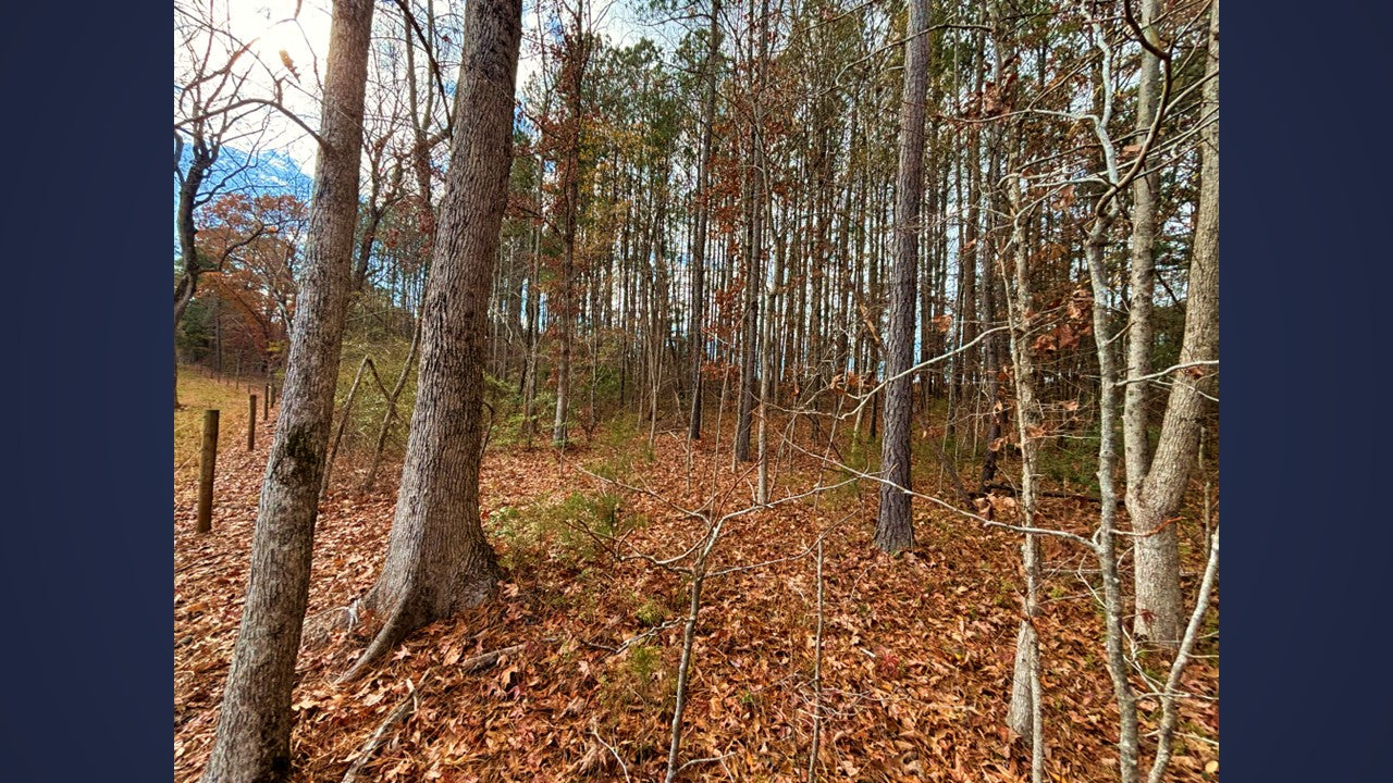 26.76-Acre Rural Retreat Near Louisburg NC