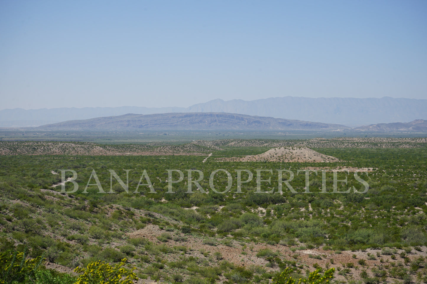 40 Acres near Presidio TX
