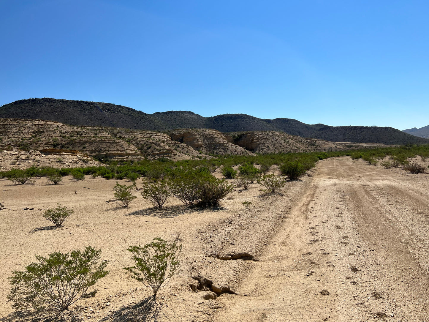 320 Acres in Brewster County, Texas