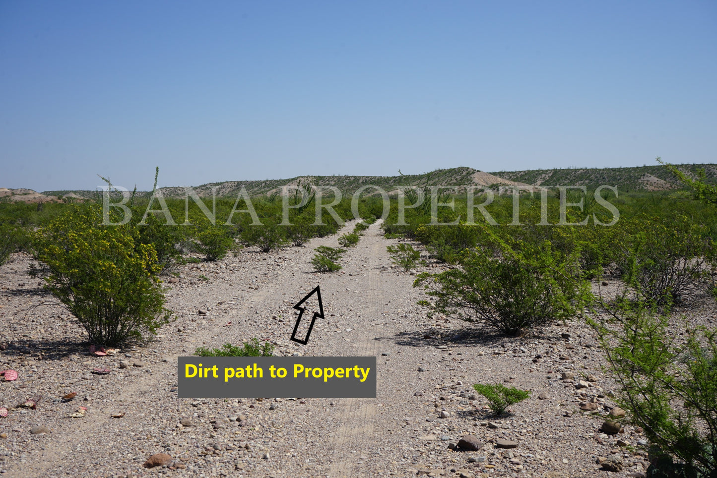 40 Acres near Presidio TX