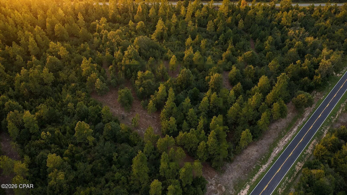 12 acres Washington County Florida