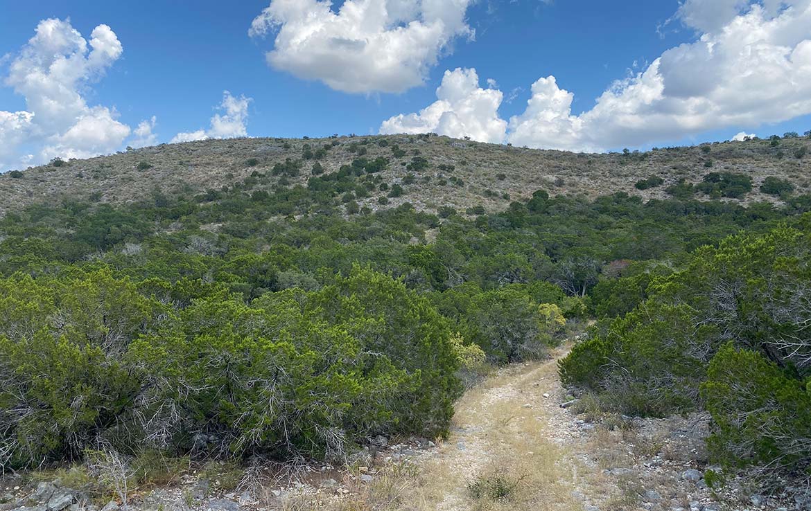 18 Acres in Texas Ranch Country