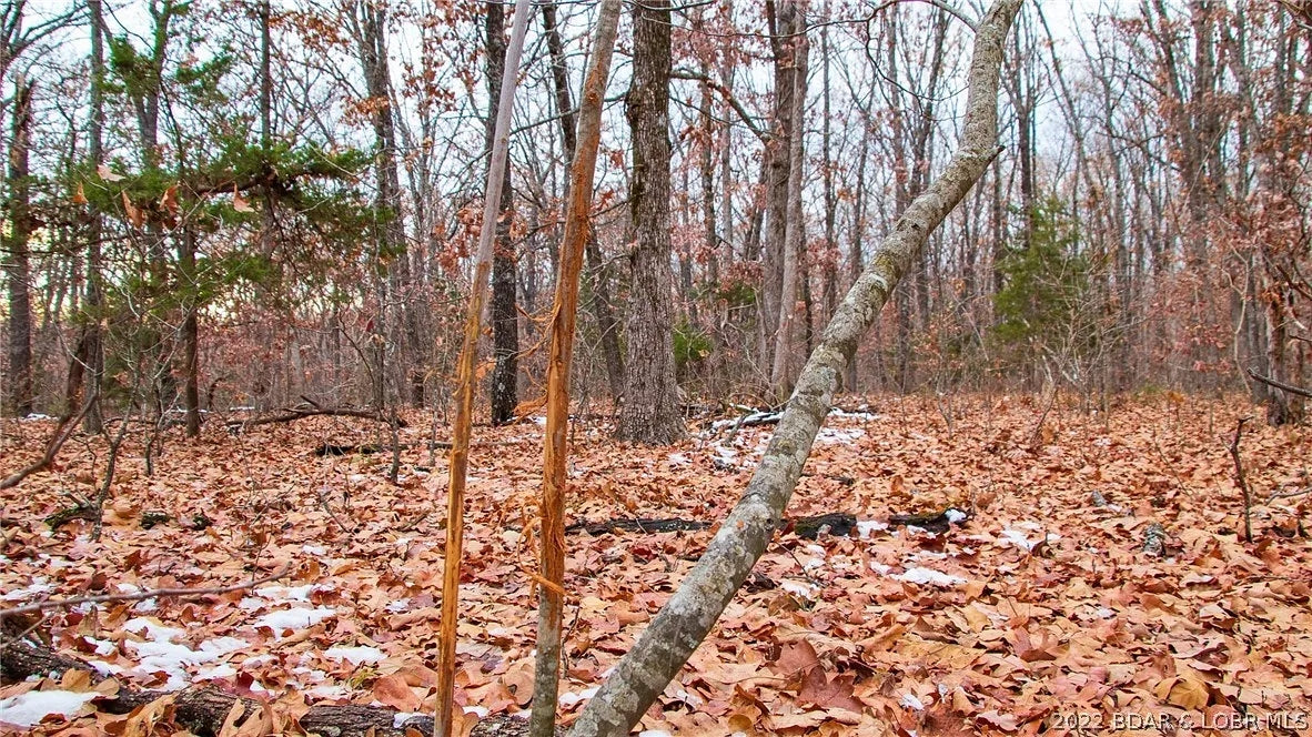 5 Acres of Residential Land for Sale in Stover, Missouri