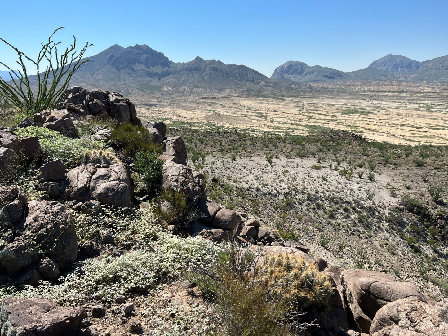 320 Acres in Brewster County, Texas