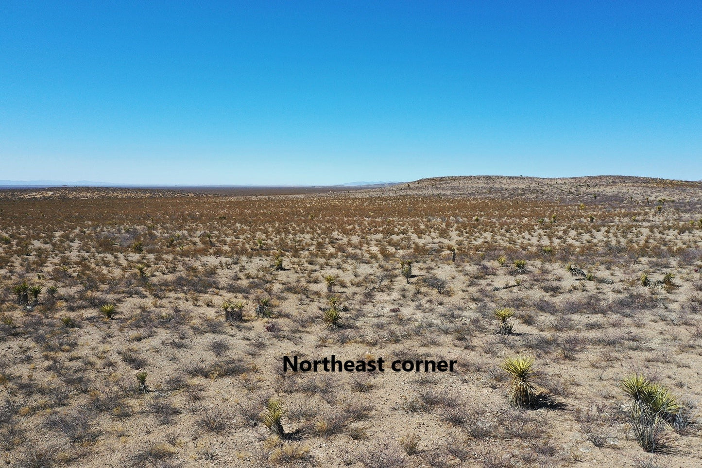 20 acres Near Horizon City Texas