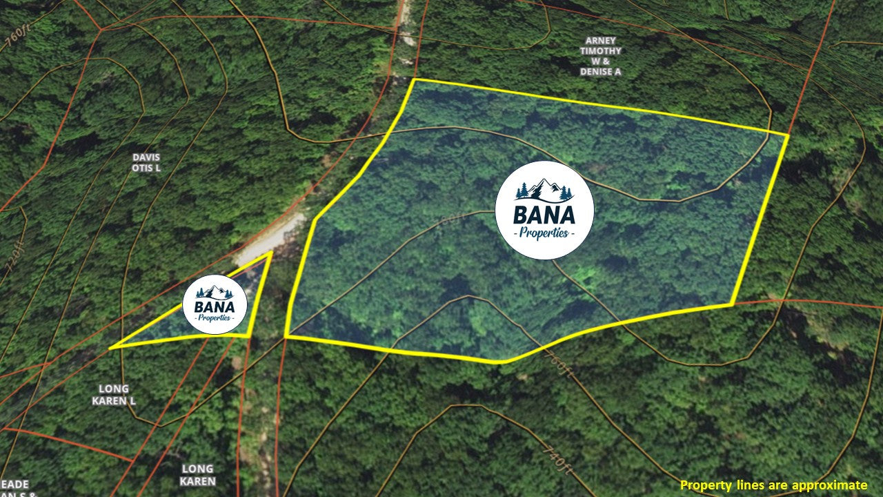 Lakeview Retreat: 3.52 Acres of Scenic Beauty