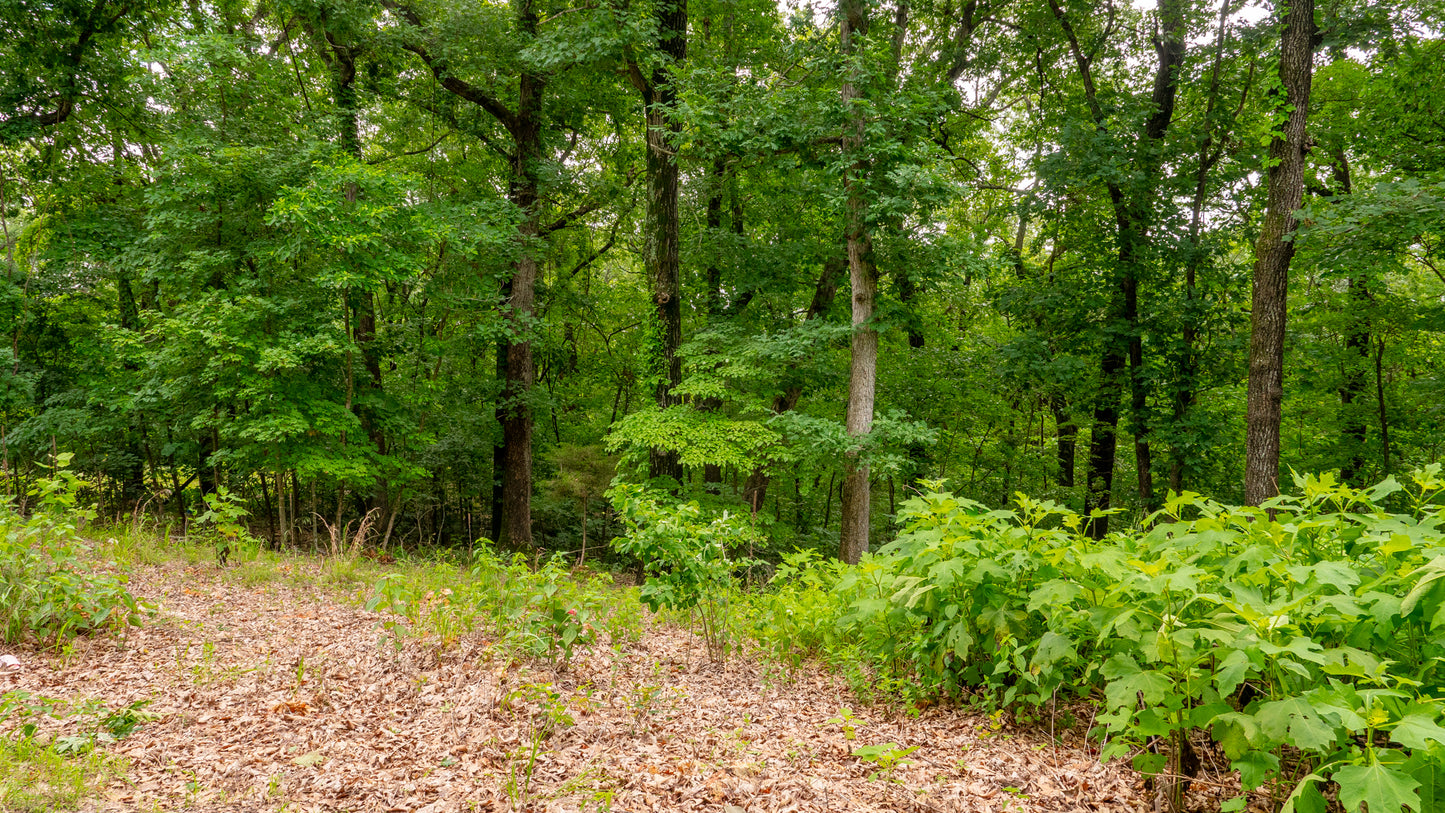 0.23 Acres in Ivy Bend – Perfect for Your Dream Home!