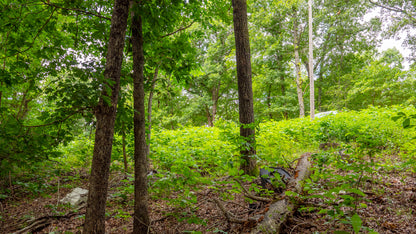 0.23 Acres in Ivy Bend – Perfect for Your Dream Home!