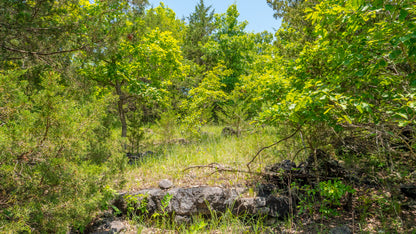 5 Acres with Creek, Clearing, and Lake Access – Perfect for Your New Home!