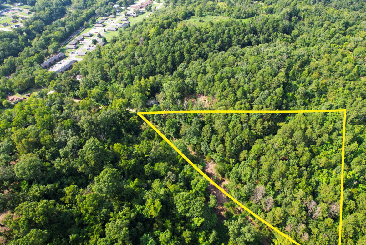 Potential Cabin Site within 1 Mile of Coffee Shops and River!